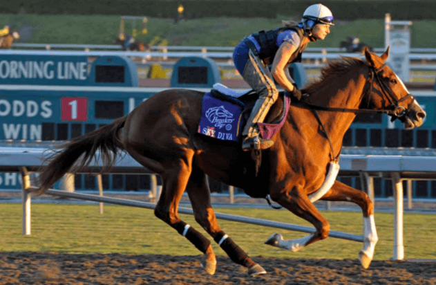 What are the key factors you consider when selecting a horse for racing?