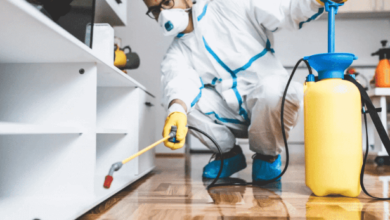 Top 10 Tips for Effective Pest Control in Your Home