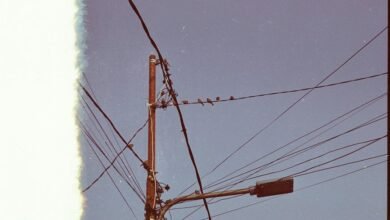 contact immediate support line