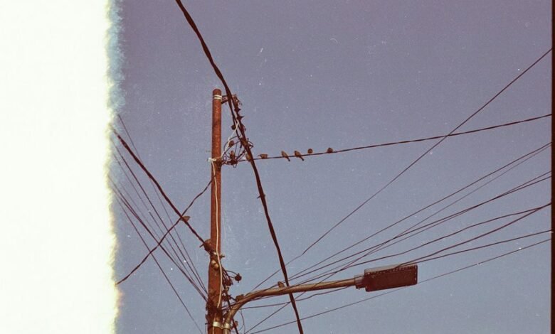 contact immediate support line