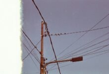 immediate assistance phone number