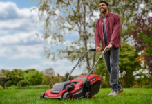 Tips for Keeping Your Lawn Beautiful Year-Round