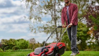 Tips for Keeping Your Lawn Beautiful Year-Round