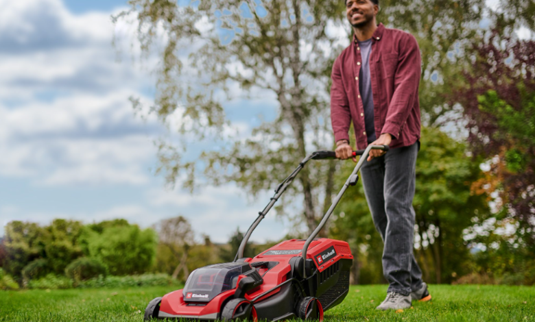 Tips for Keeping Your Lawn Beautiful Year-Round