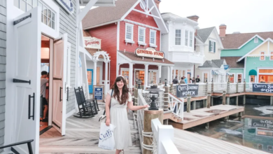 Tips for Planning the Perfect Cape Cod Vacation