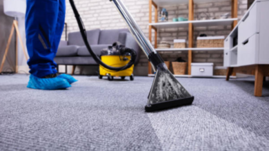 How Often Should You Clean Your Carpets in Houston Homes?