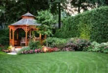Essential Lawn Care Tips for a Beautiful Outdoor Space