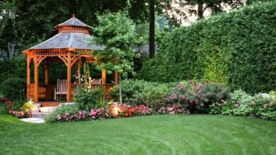 Essential Lawn Care Tips for a Beautiful Outdoor Space