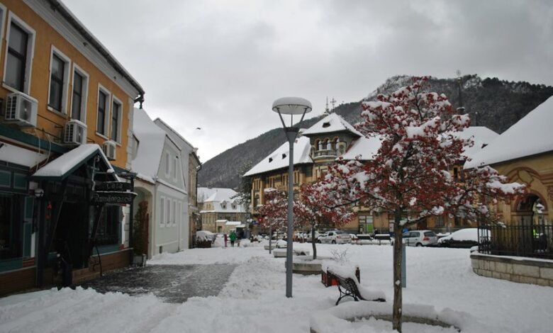 business evaluation and analysis