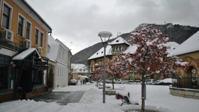 business evaluation for entities