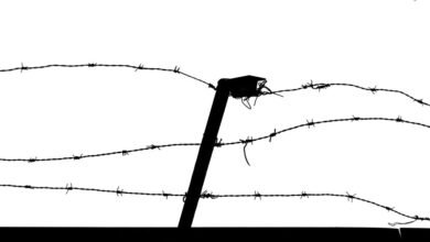 industry intelligence data overview