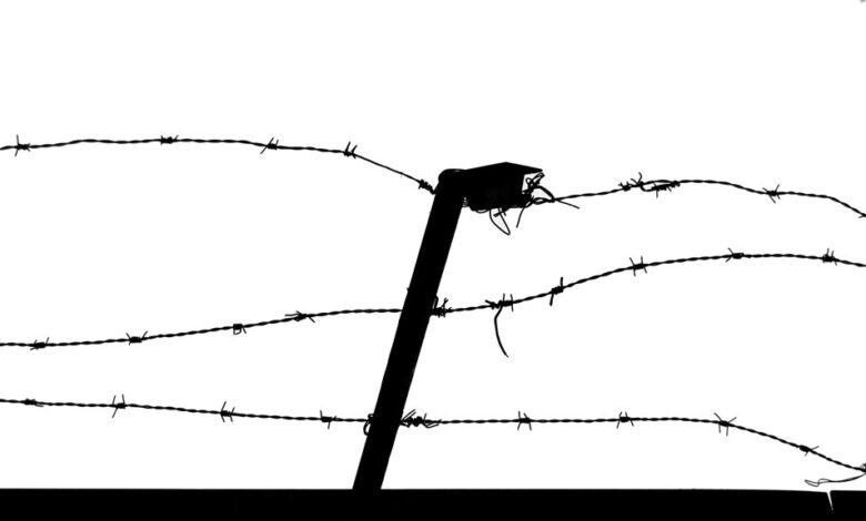 industry intelligence data overview