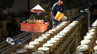 industry market brief overview