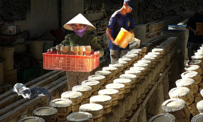 industry market brief overview