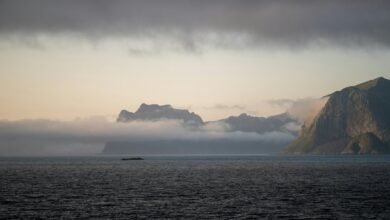 market analysis for identifiers