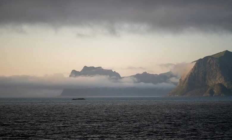 market analysis for identifiers