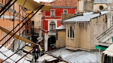 market analysis of products