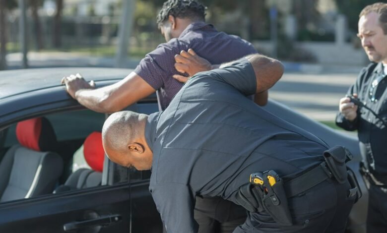 authority builder search horizon