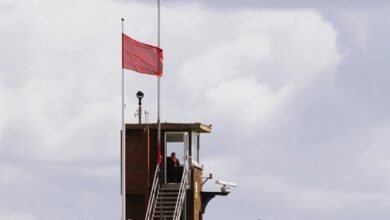 content engagement notification alert