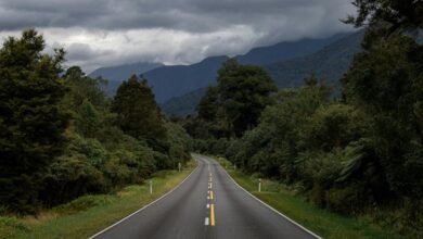 growth compass for expansion