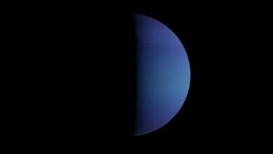 growth expansion circle 8336663025