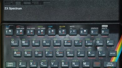 online audience expansion strategy