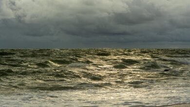 online traffic surge program