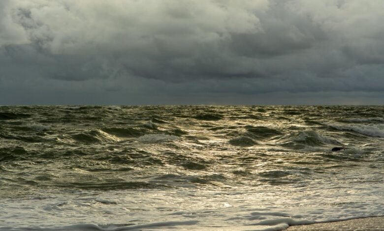 online traffic surge program