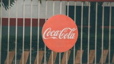 orbit brand authority circle