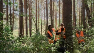 search visibility enhancement service