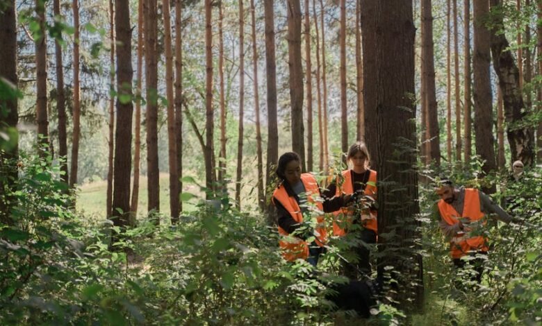 search visibility enhancement service