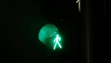 signal boost web impact