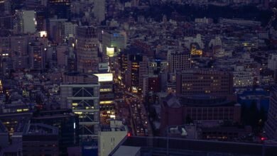 traffic report click view