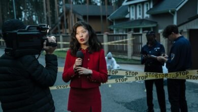 investigation and safety report