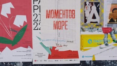 next momentum revenue details