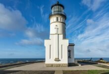 value expansion operational excellence