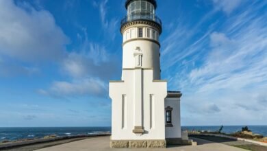 value expansion operational excellence