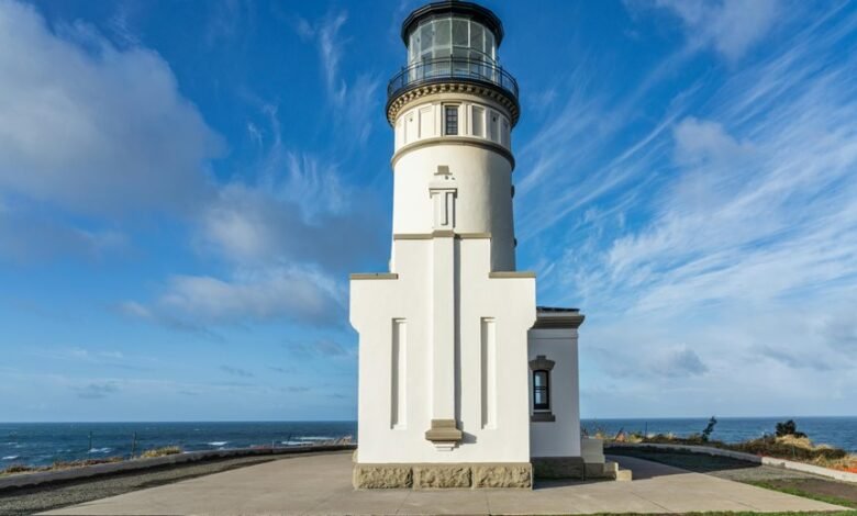 value expansion operational excellence