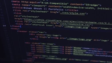 digital query pattern lopulgunzer reference