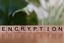 fostering from cryptopronetwork option