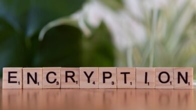 fostering from cryptopronetwork option