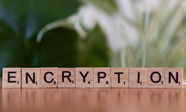 fostering from cryptopronetwork option