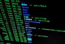 multilingual behavior analysis file