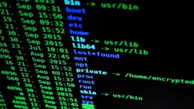 multilingual behavior analysis file